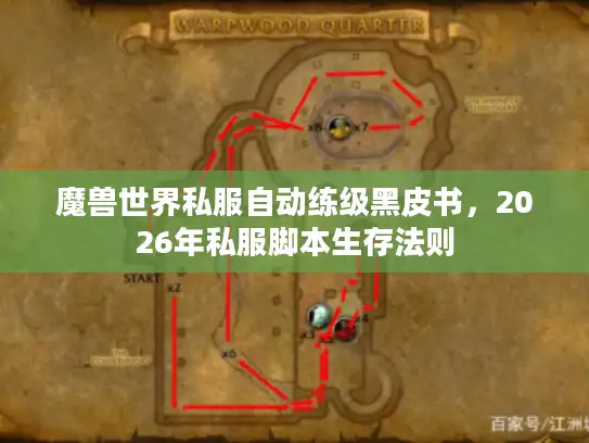 魔兽世界私服自动练级黑皮书，2026年私服脚本生存法则
