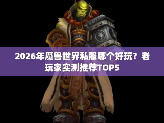 2026年魔兽世界私服哪个好玩？老玩家实测推荐TOP5