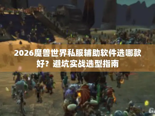 2026魔兽世界私服辅助软件选哪款好？避坑实战选型指南
