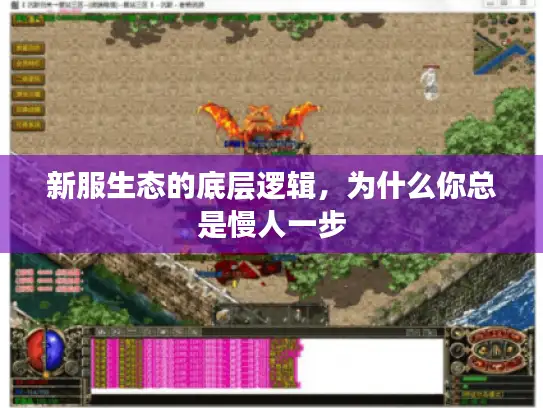 新服生态的底层逻辑，为什么你总是慢人一步