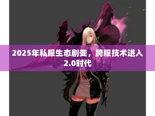 2025年私服生态剧变，跨服技术进入2.0时代