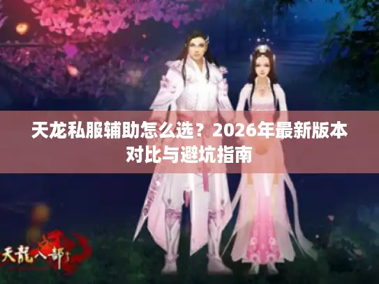 天龙私服辅助怎么选？2026年最新版本对比与避坑指南