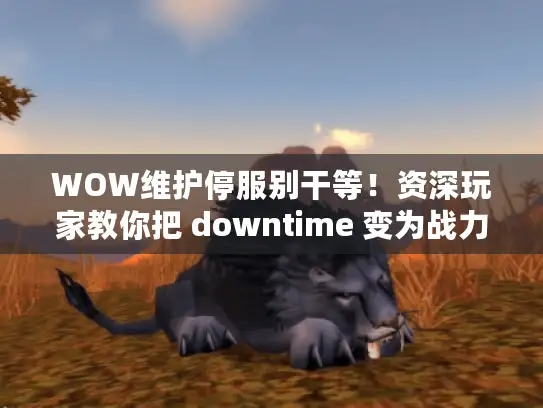 WOW维护停服别干等！资深玩家教你把 downtime 变为战力提升黄金期