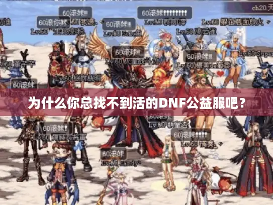 为什么你总找不到活的DNF公益服吧？