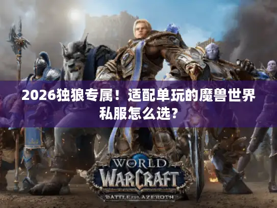 2026独狼专属！适配单玩的魔兽世界私服怎么选？