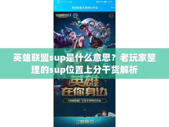 英雄联盟sup是什么意思？老玩家整理的sup位置上分干货解析