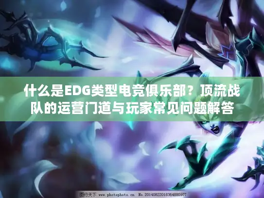 什么是EDG类型电竞俱乐部？顶流战队的运营门道与玩家常见问题解答