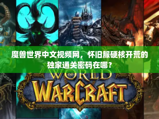 魔兽世界中文视频网，怀旧服硬核开荒的独家通关密码在哪？